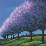 (image for) Spring